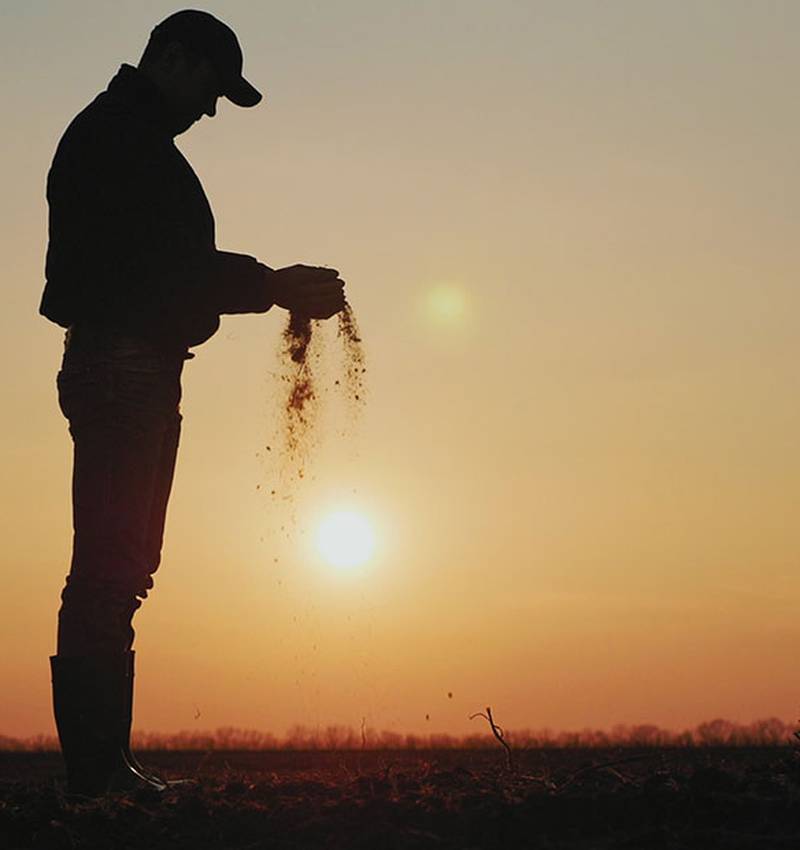 Meet Our Farmers: Die Fürsorge von Pomto für all jene, die die Tomate umsorgen